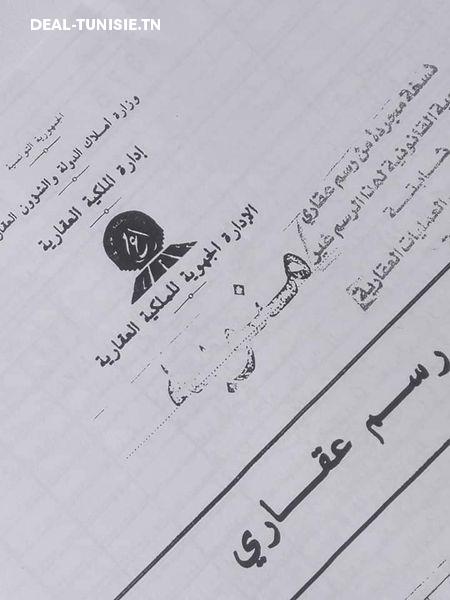 Image Annonce Deal-tunisie