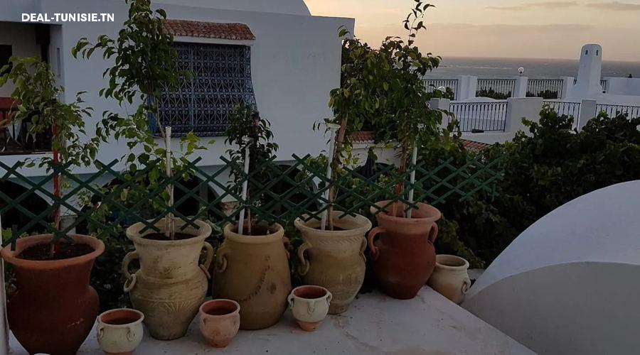 Image Annonce Deal-tunisie