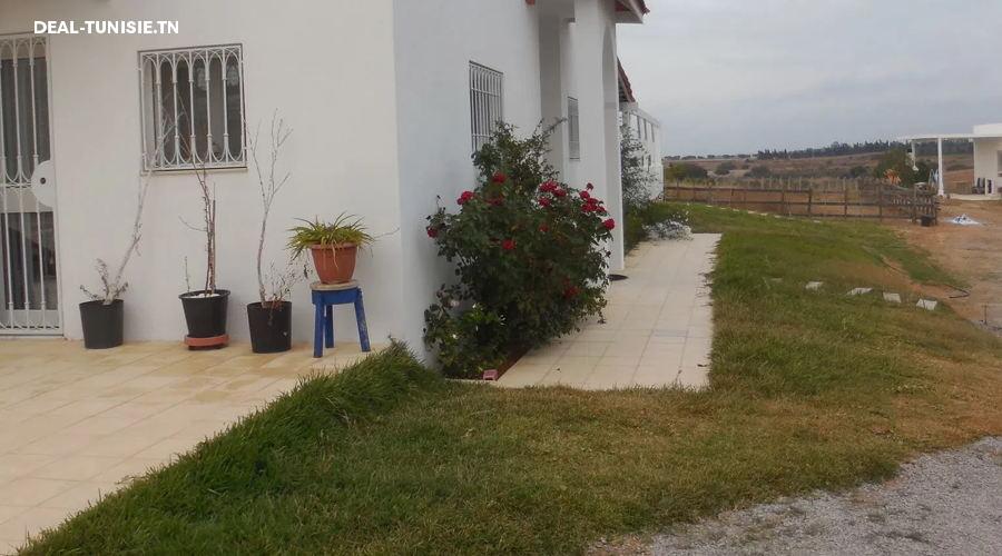 Image Annonce Deal-tunisie