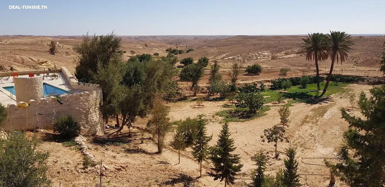 deal tunisie annonce