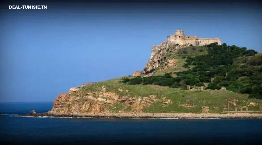 Image Annonce Deal-tunisie