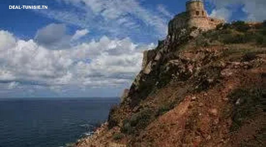 Image Annonce Deal-tunisie