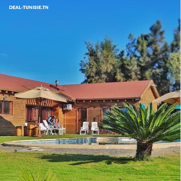 deal tunisie annonce