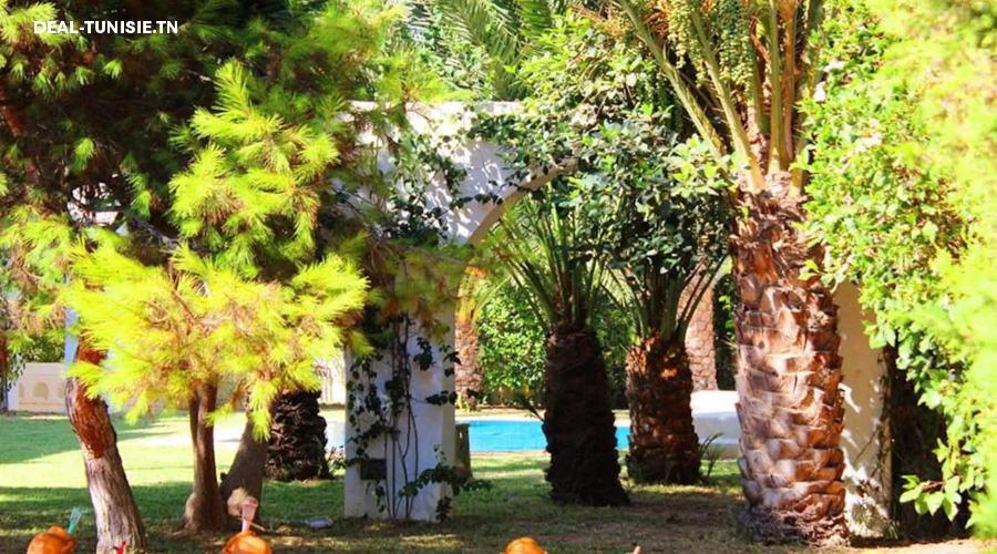 Image Annonce Deal-tunisie