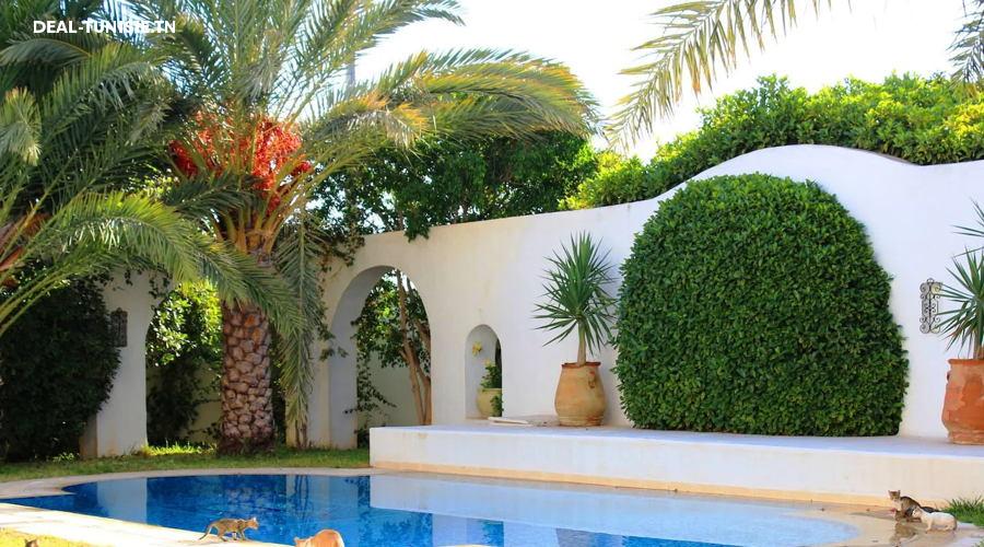 Image Annonce Deal-tunisie