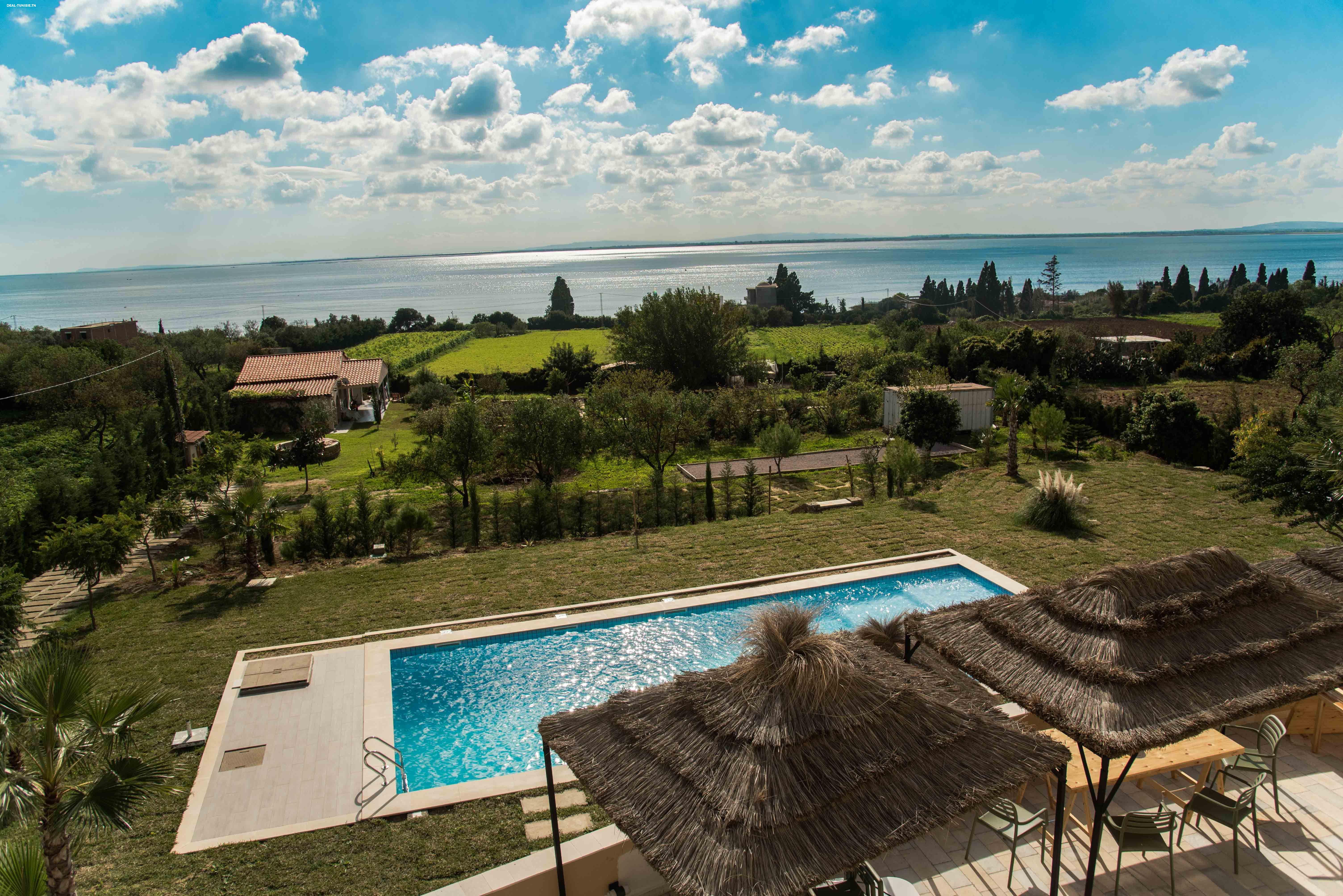 deal tunisie annonce