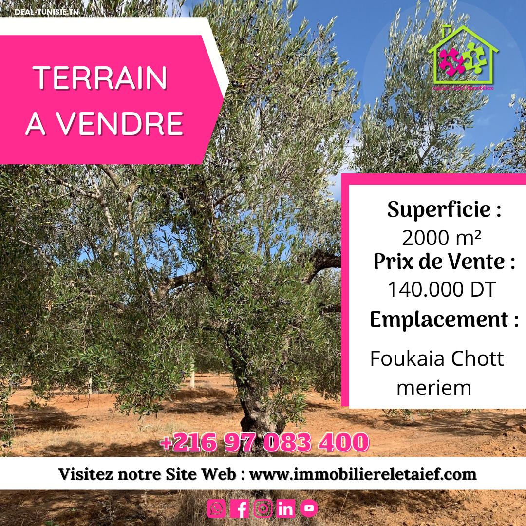 deal tunisie annonce