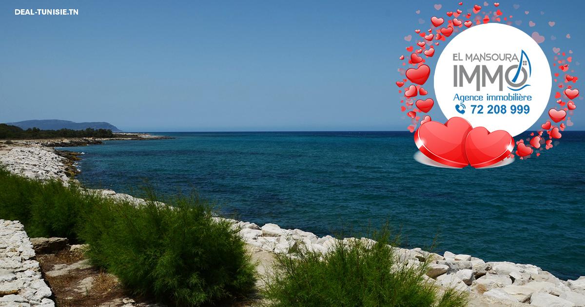 deal tunisie annonce