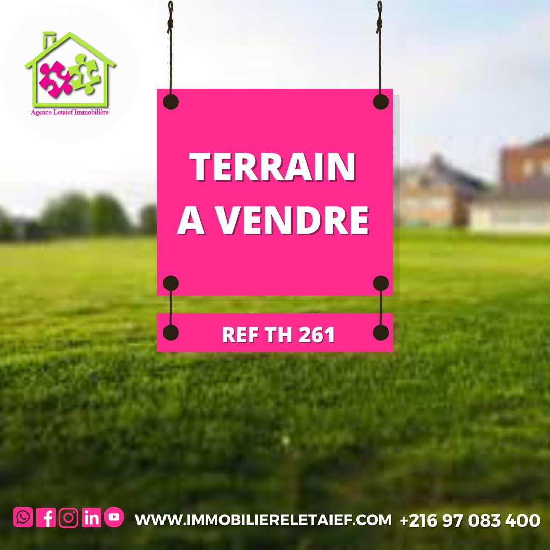 deal tunisie annonce