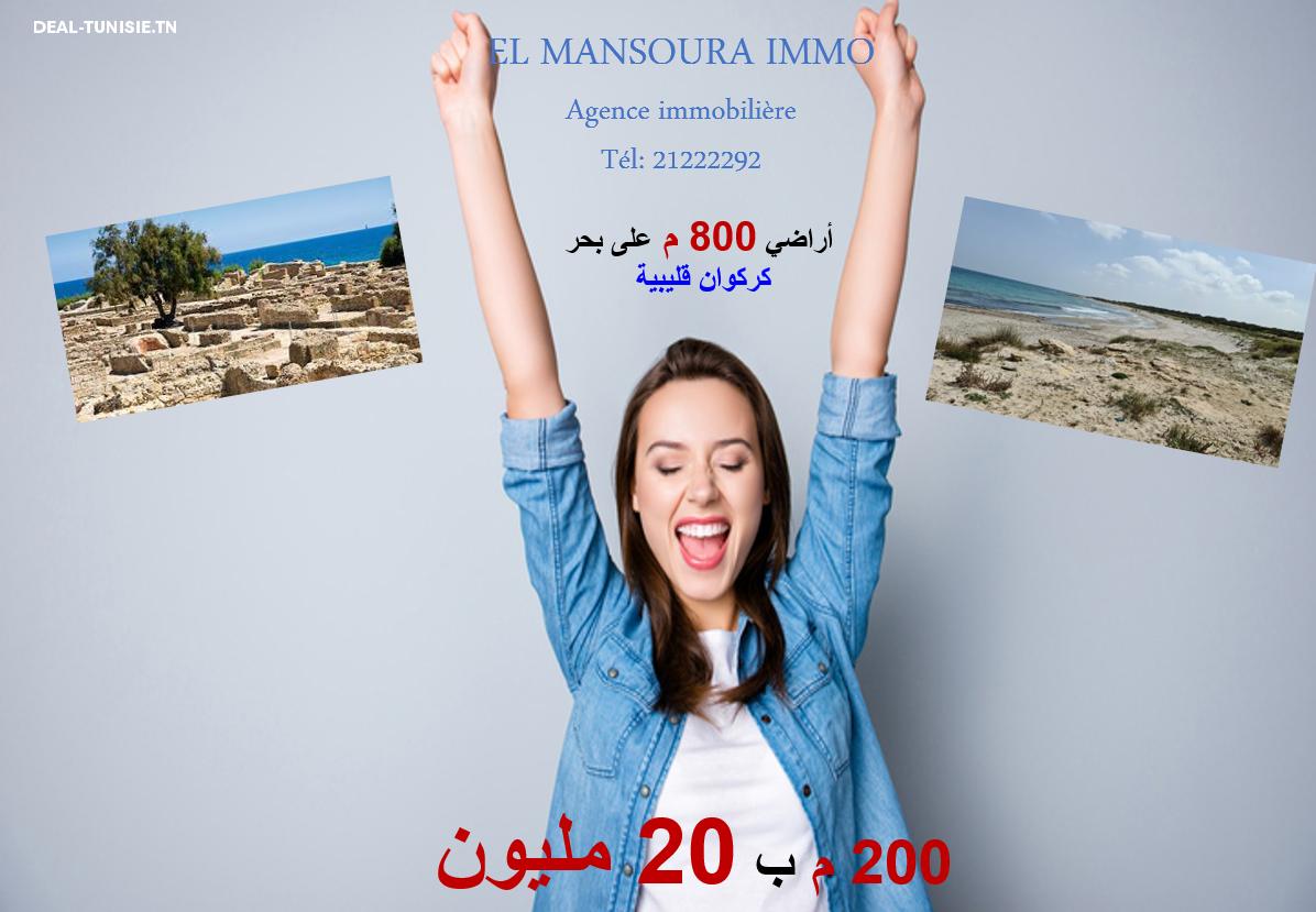 deal tunisie annonce