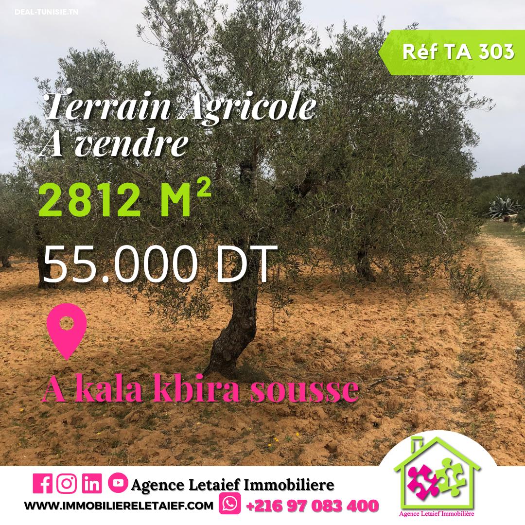deal tunisie annonce
