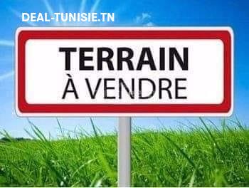 deal tunisie annonce