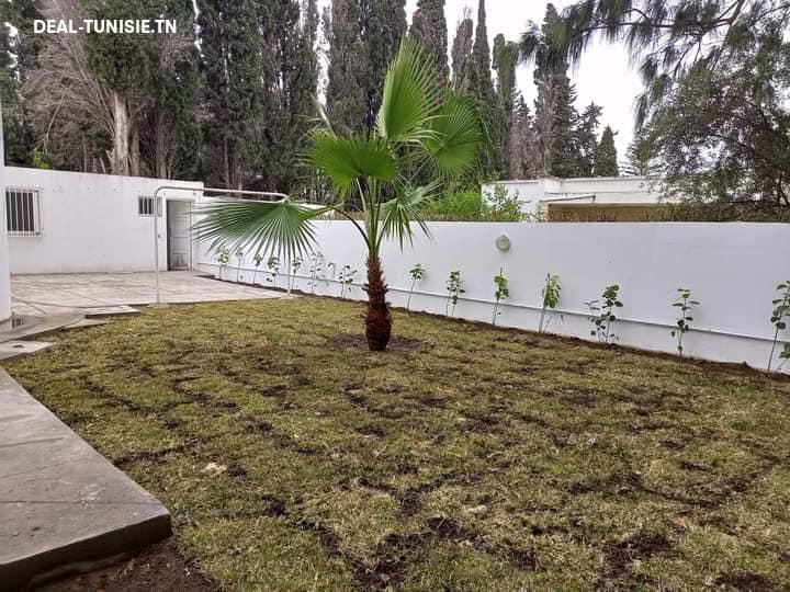deal tunisie annonce