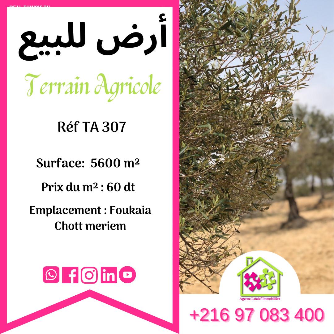 deal tunisie annonce