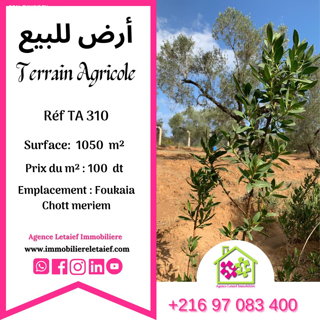 deal tunisie annonce