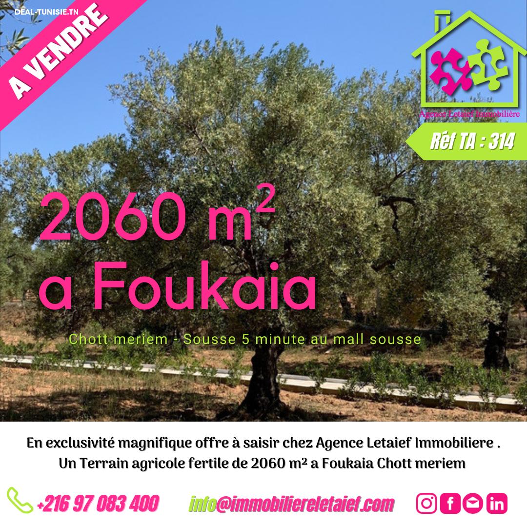 deal tunisie annonce