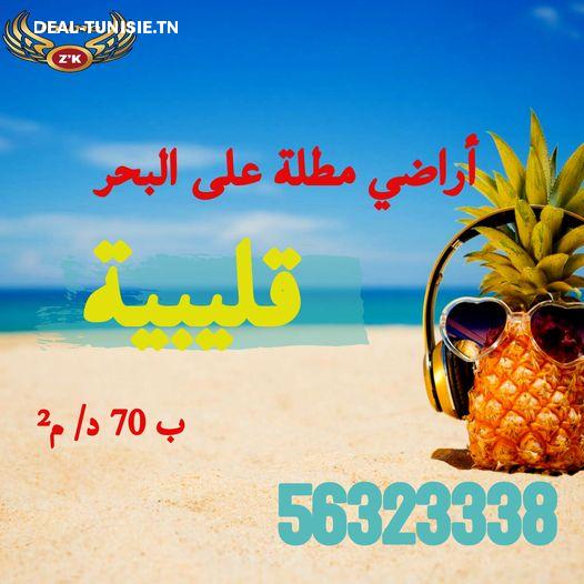 deal tunisie annonce