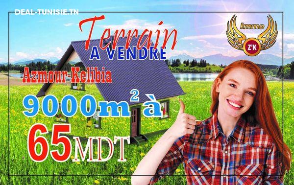 deal tunisie annonce