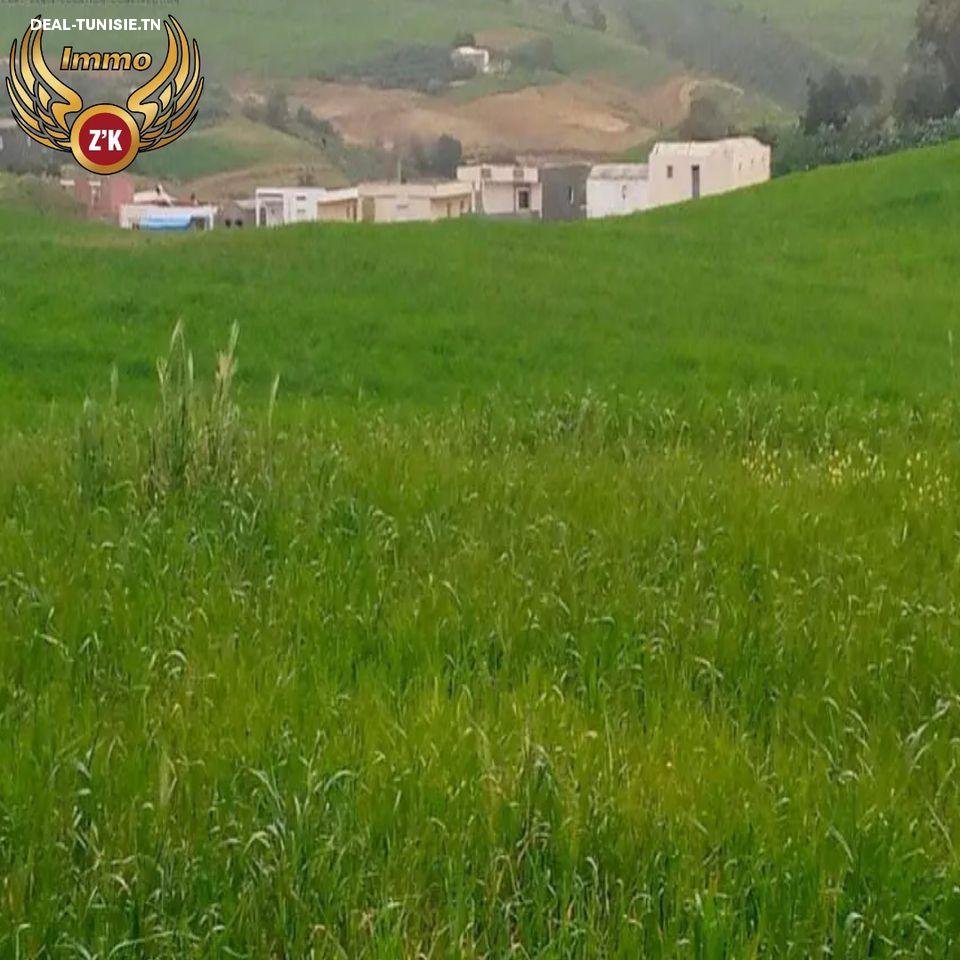Image Annonce Deal-tunisie