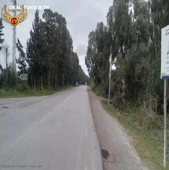 Image Annonce Deal-tunisie