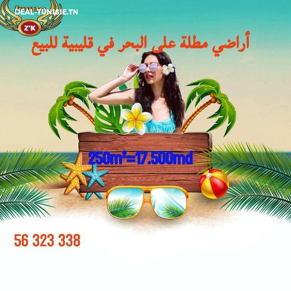 deal tunisie annonce