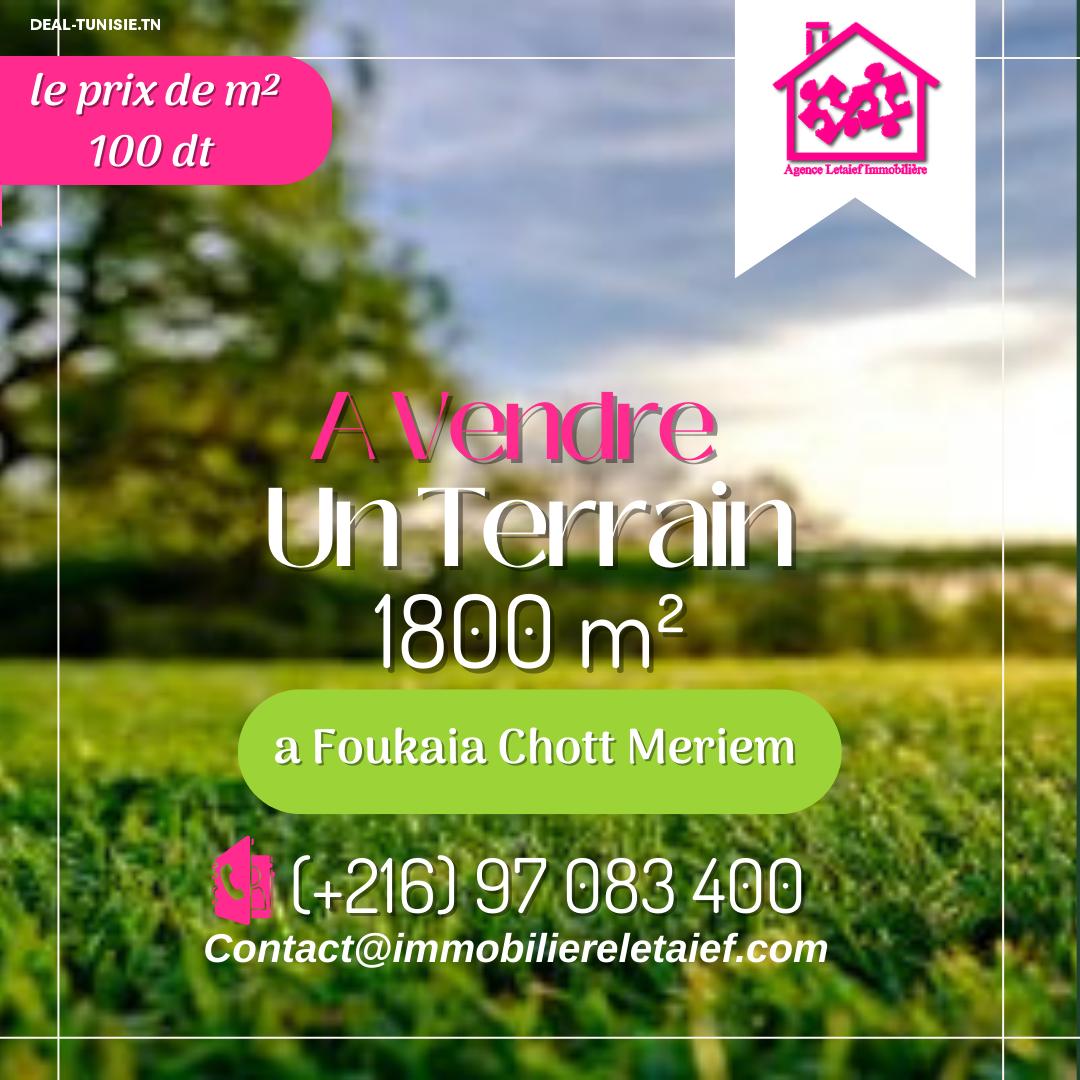 deal tunisie annonce