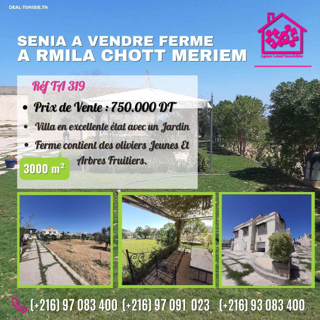 deal tunisie annonce