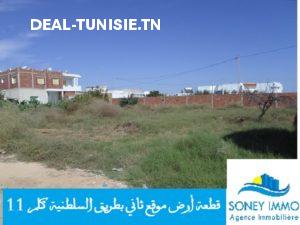 deal tunisie annonce