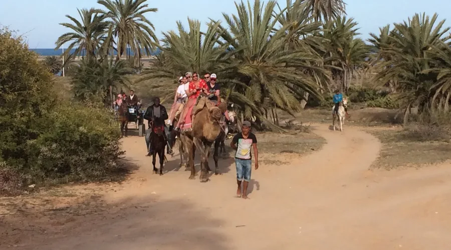 Image Annonce Deal-tunisie