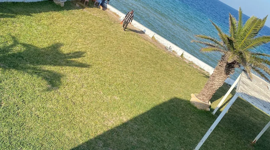 Image Annonce Deal-tunisie