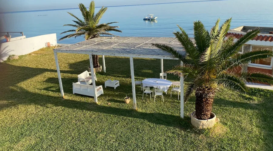Image Annonce Deal-tunisie