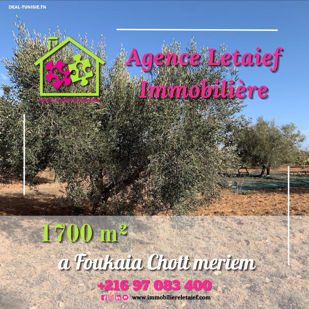 deal tunisie annonce
