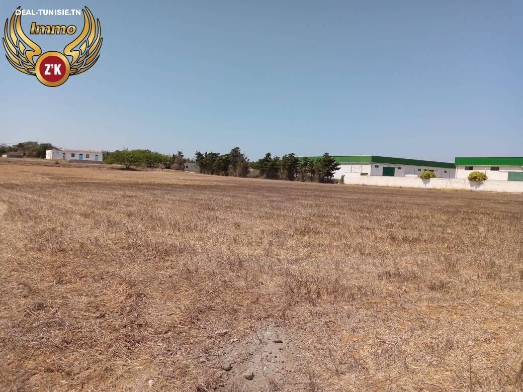 Image Annonce Deal-tunisie
