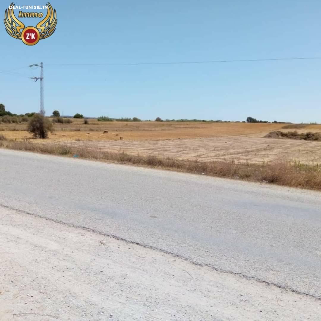 Image Annonce Deal-tunisie