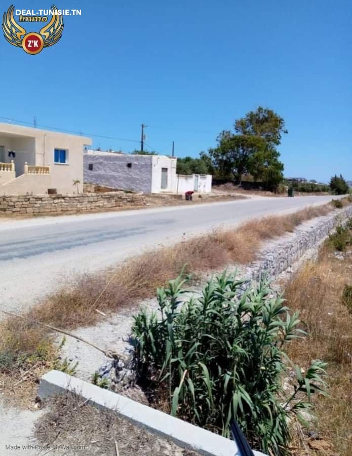 deal tunisie annonce