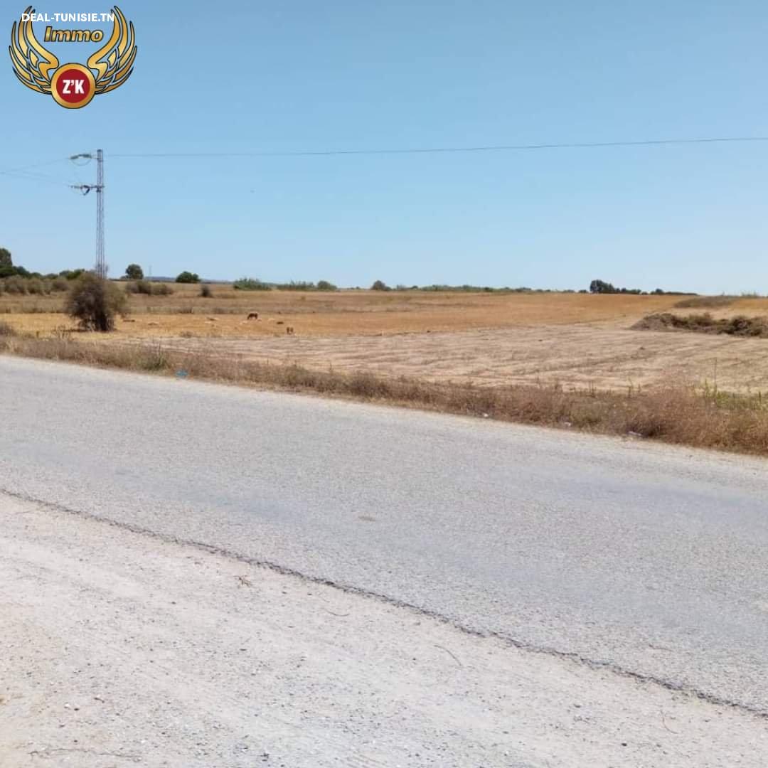 Image Annonce Deal-tunisie
