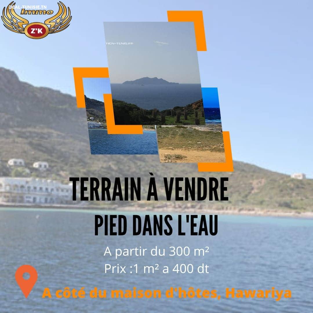 deal tunisie annonce