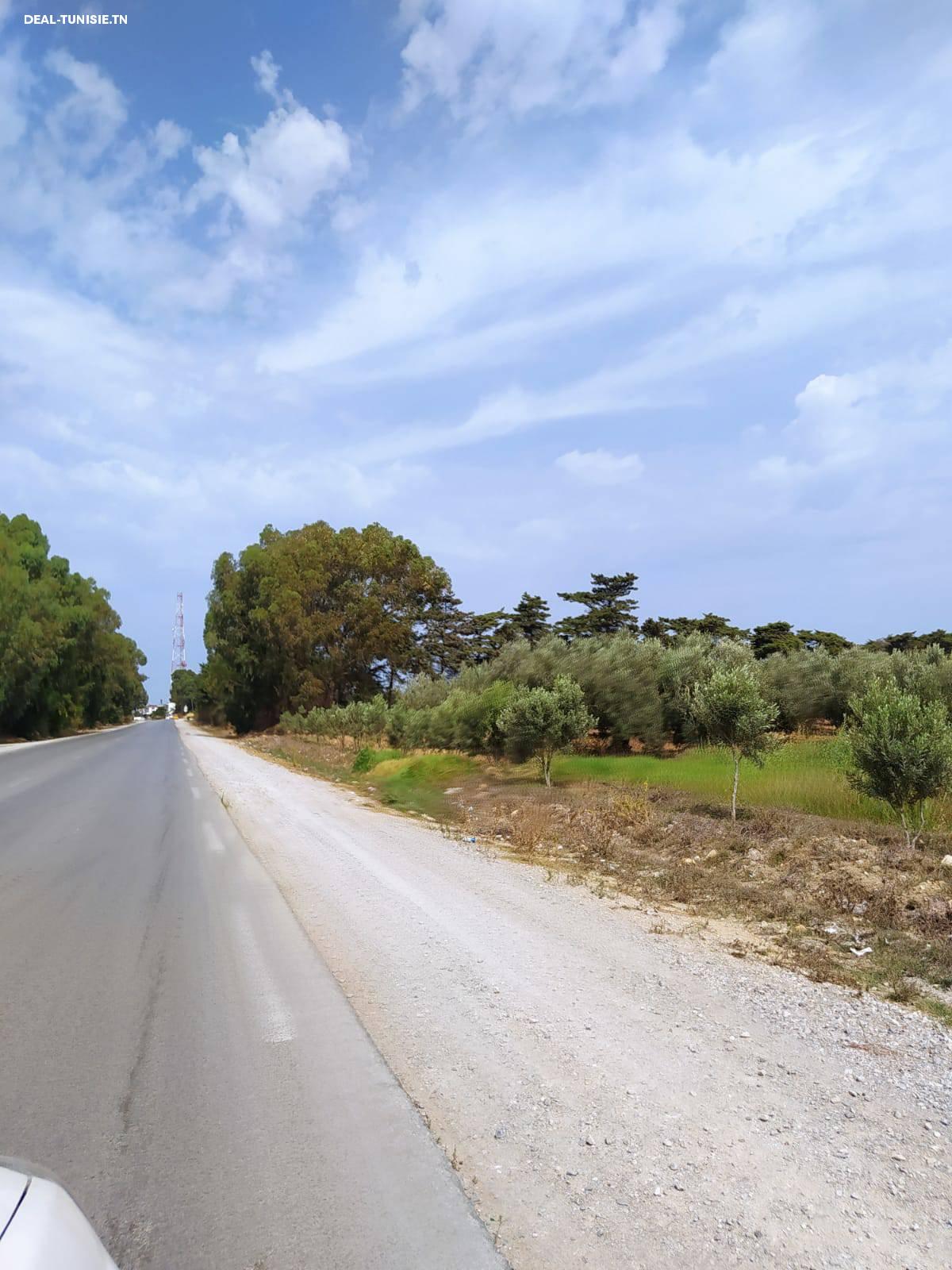 Image Annonce Deal-tunisie