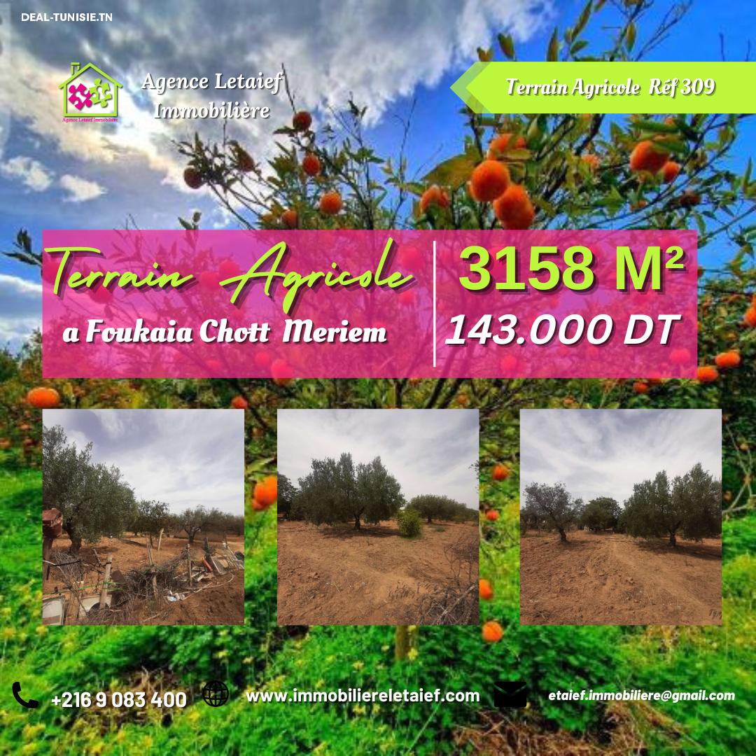 deal tunisie annonce