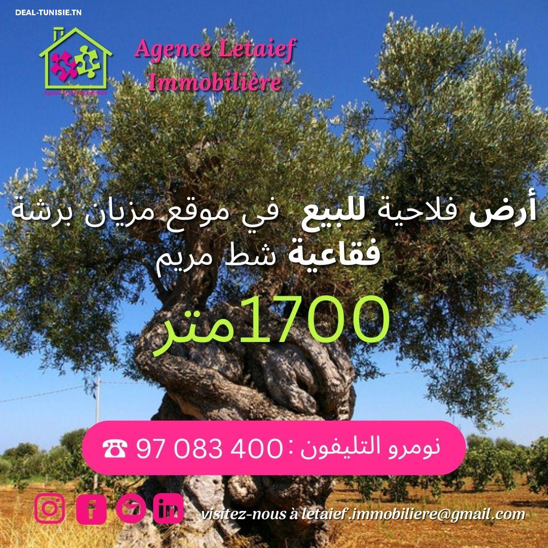 deal tunisie annonce