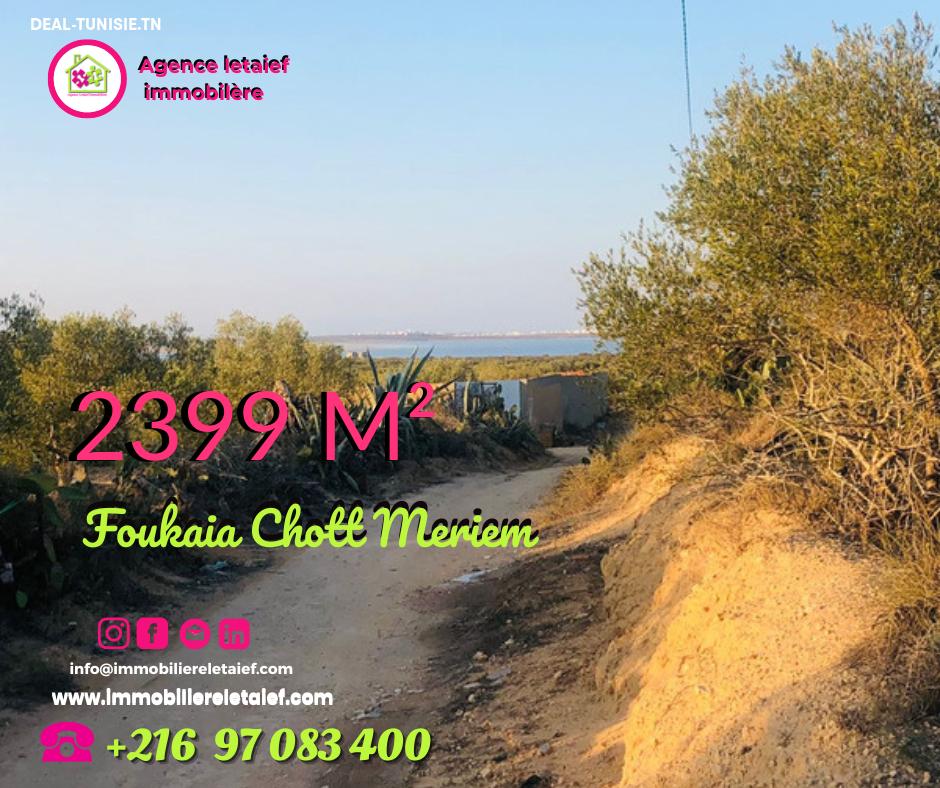 deal tunisie annonce