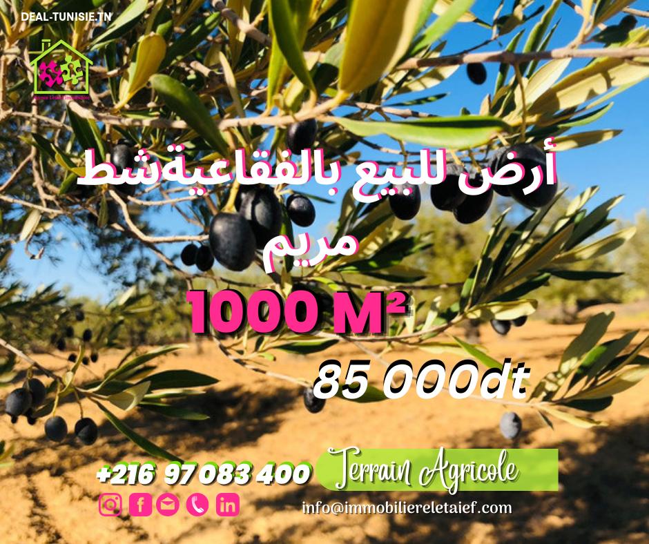 deal tunisie annonce