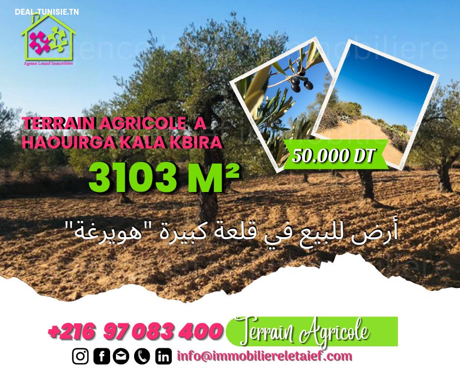 deal tunisie annonce