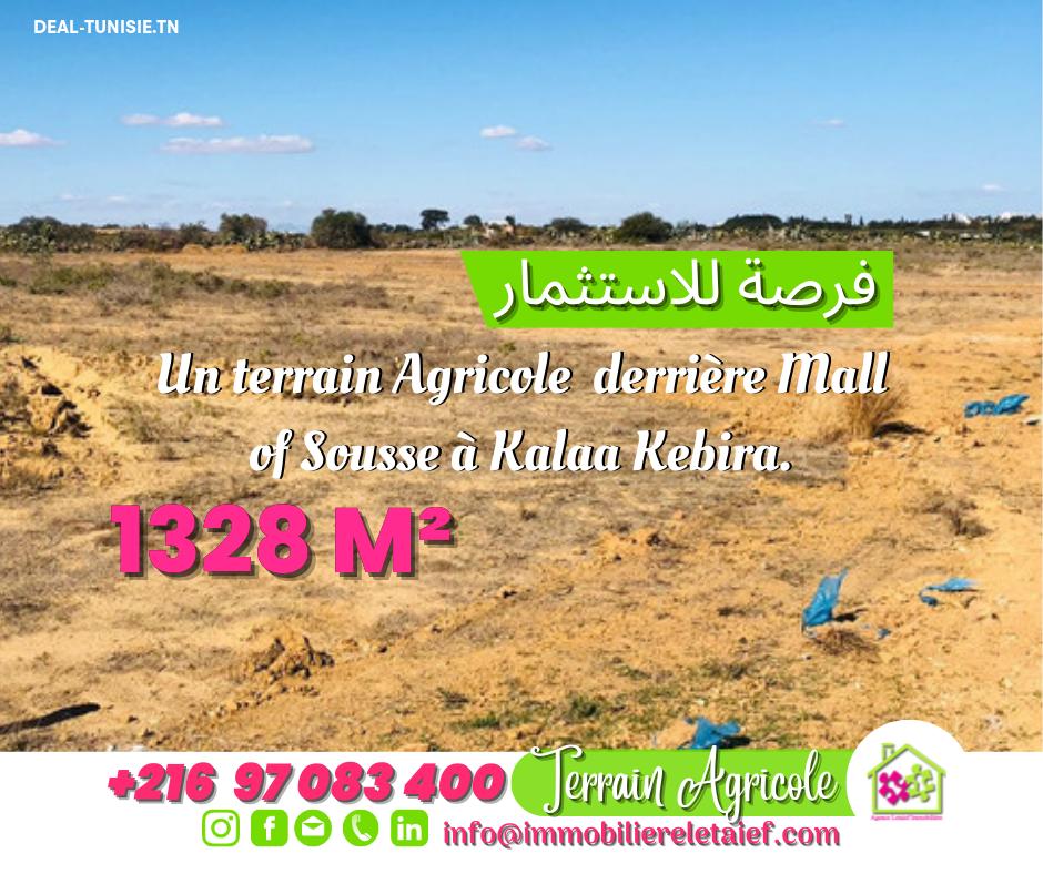deal tunisie annonce