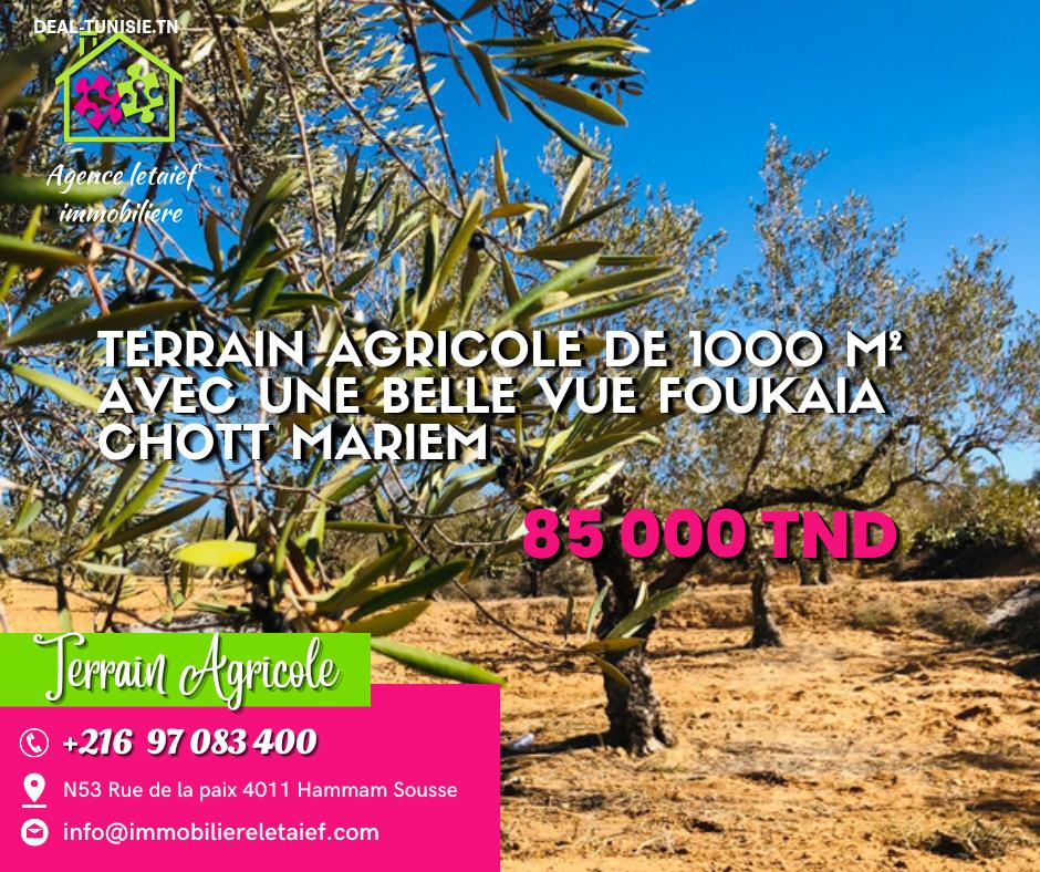 deal tunisie annonce