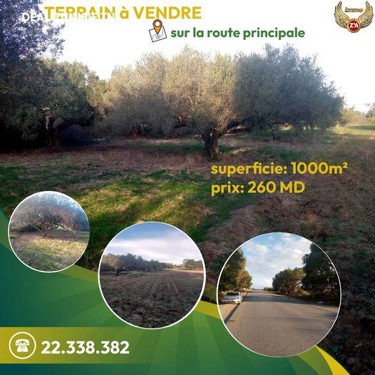 deal tunisie annonce