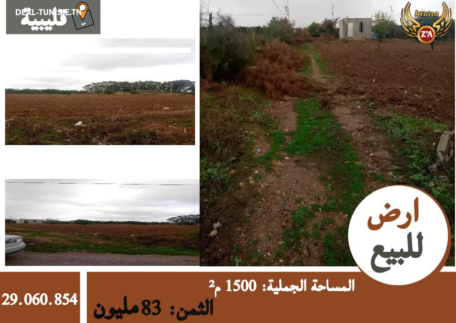 deal tunisie annonce