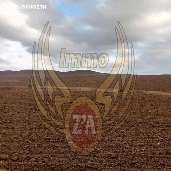 deal tunisie annonce