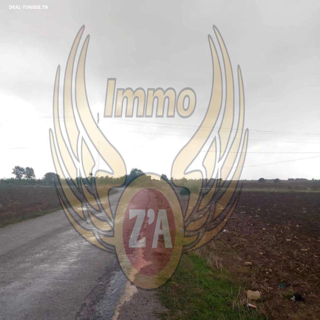 Image Annonce Deal-tunisie