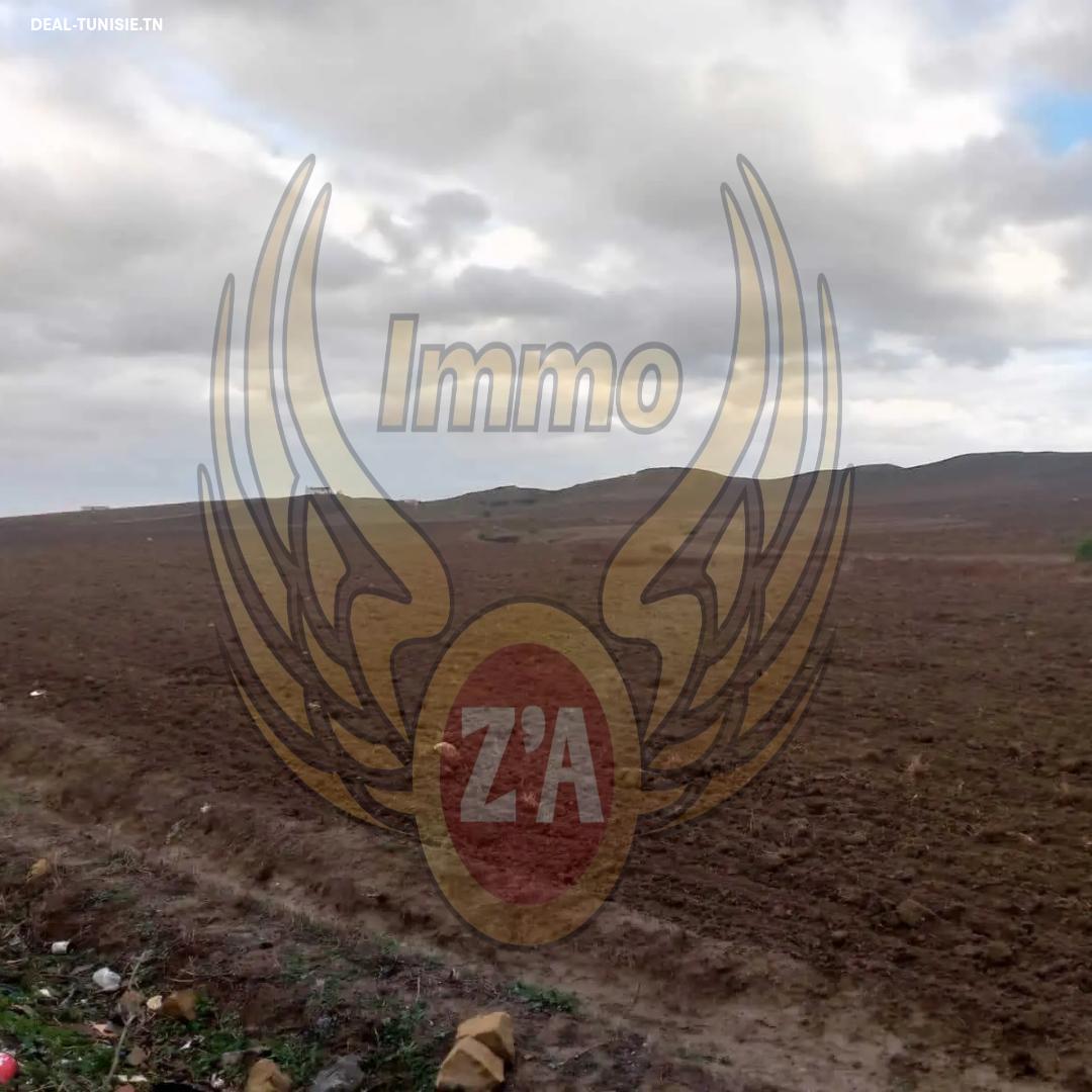 Image Annonce Deal-tunisie